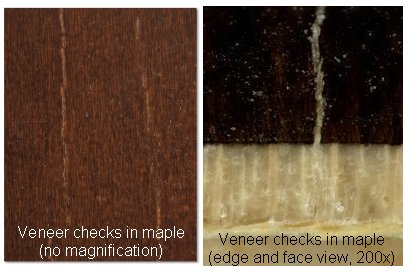 Check in maple veneer