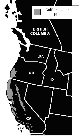 Mrytle range