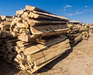 juniper slabs - veneer slicer, before